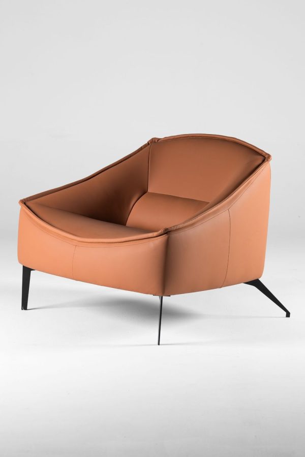 كرسي كانيون المميز